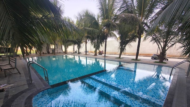 Une piscine dont les bords sont recouverts de carreaux, entourée de palmiers et de chaises longues.