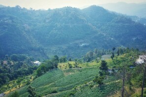 Deluxe Room, Mountain View | Miscellaneous - Green Velley View (Kosiyakutoli)