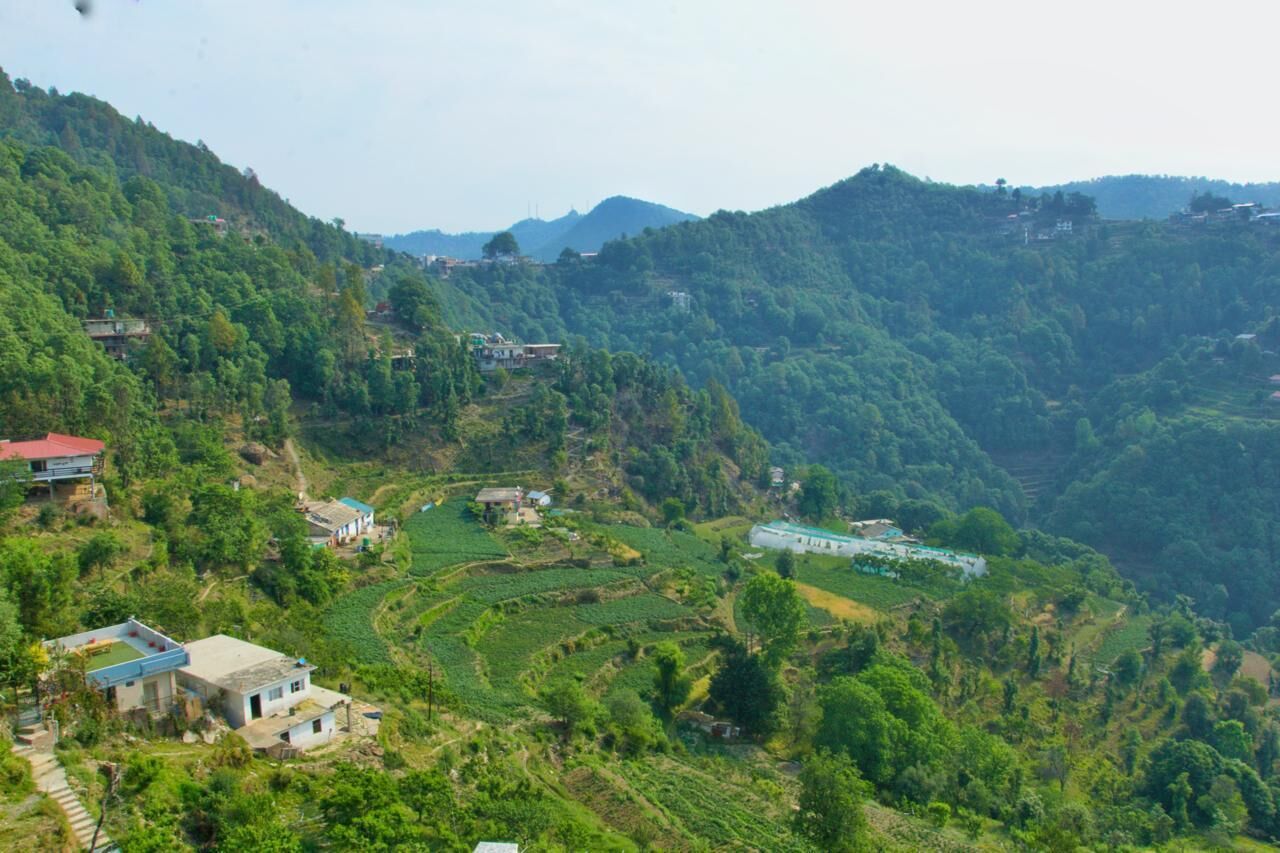 华丽客房, 山景 | 鸟瞰图