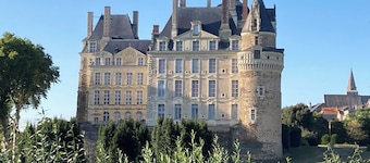Family home between vineyards, Loire Valley and Chateaux