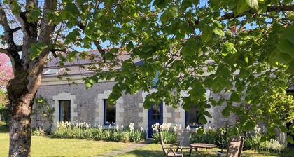 Family home between vineyards, Loire Valley and Chateaux