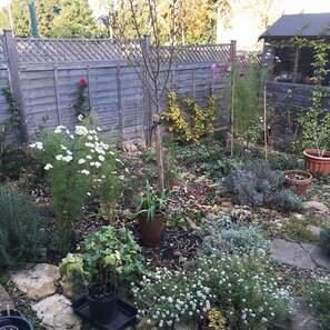 Property grounds - Cosy 18th century, artisan's cottage with garden (Frome)