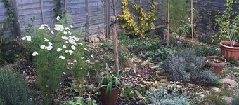 Cosy 18th century, artisan's cottage with garden