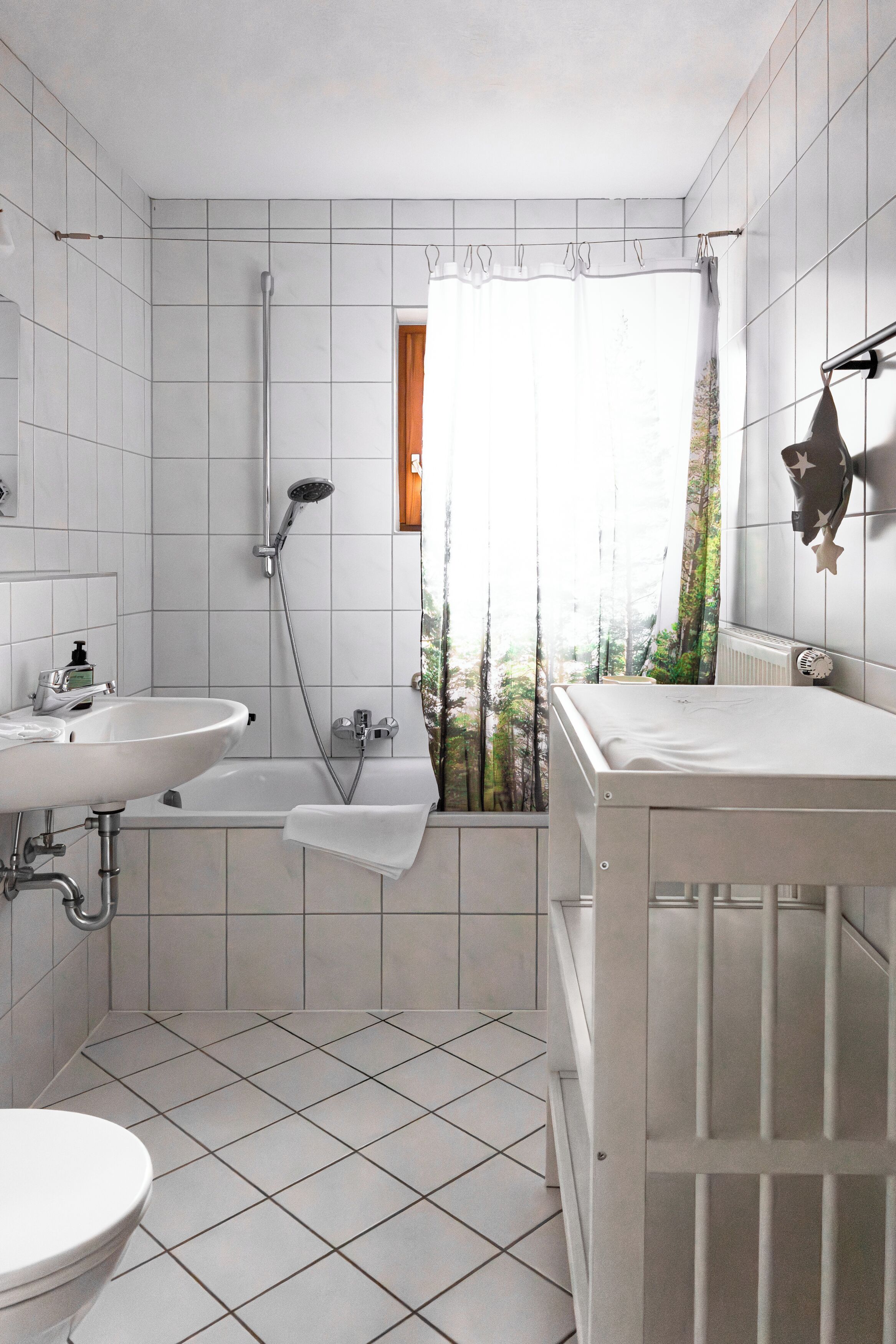 Hair dryer, towels, soap, toilet paper