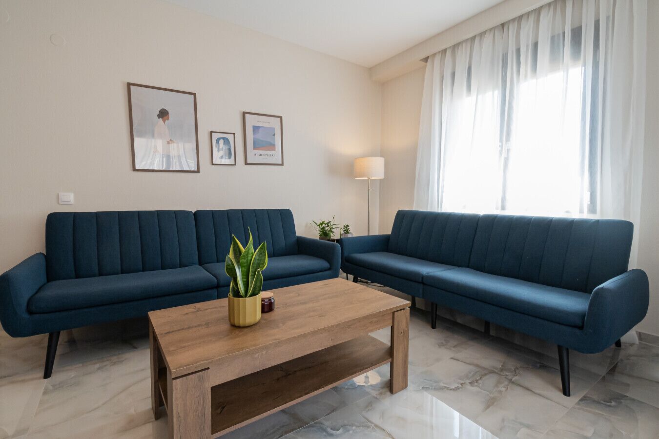 A living room with two dark blue sofas, a wooden coffee table, and a potted plant.