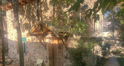 Superb country house just an hour from Madrid