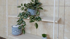 Casa de banho com parede revestida de azulejos, um cano branco e três prateleiras com plantas em vasos.