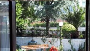 Un patio con una banca, plantas en macetas y un pequeño jardín.