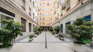 A narrow urban courtyard with potted plants, a central drainage grate, and a building with multiple windows and balconies. - (DDS1014) 2 bedroom apartment in Goya, Salamanca District (Madrid)