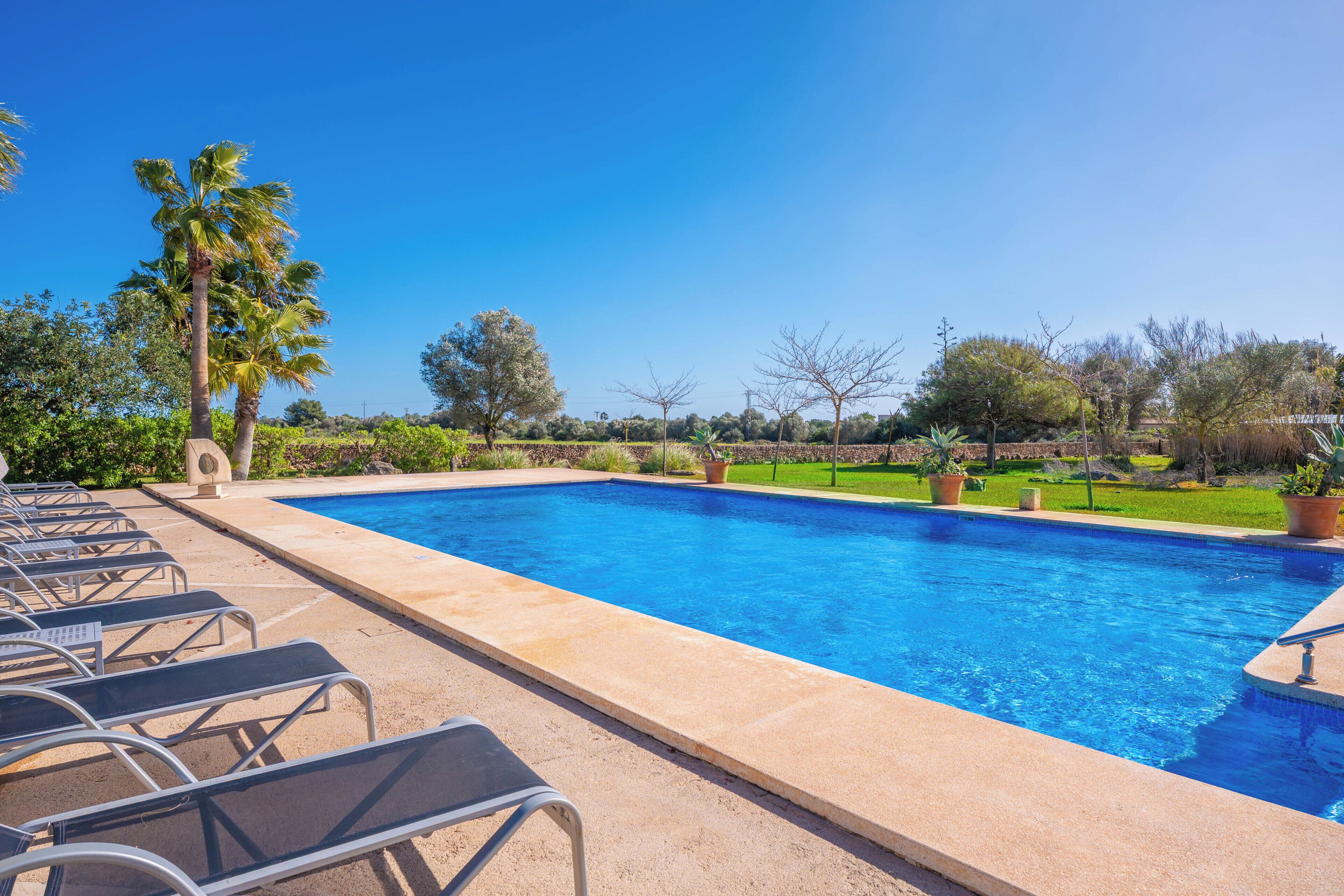 Una piscina con sillas de descanso, palmeras y un cielo azul despejado.