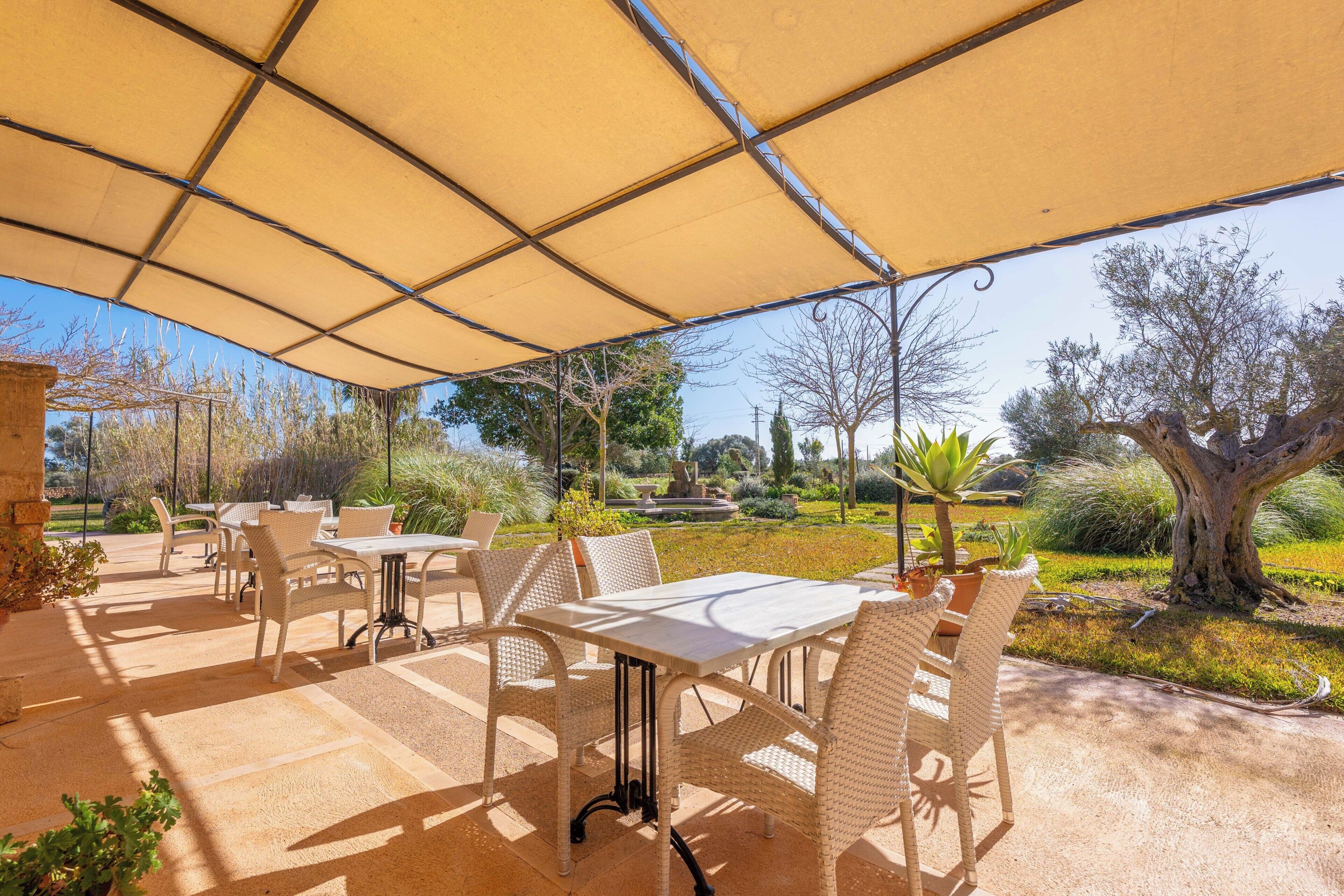 An outdoor patio with tables and chairs, a pergola providing shade, and a garden with trees and plants.