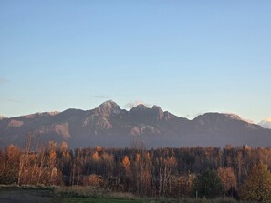 Una cordillera con un bosque en primer plano.
