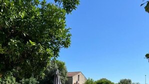 Ein Garten mit Pool, Liegestühlen und einem Baum.