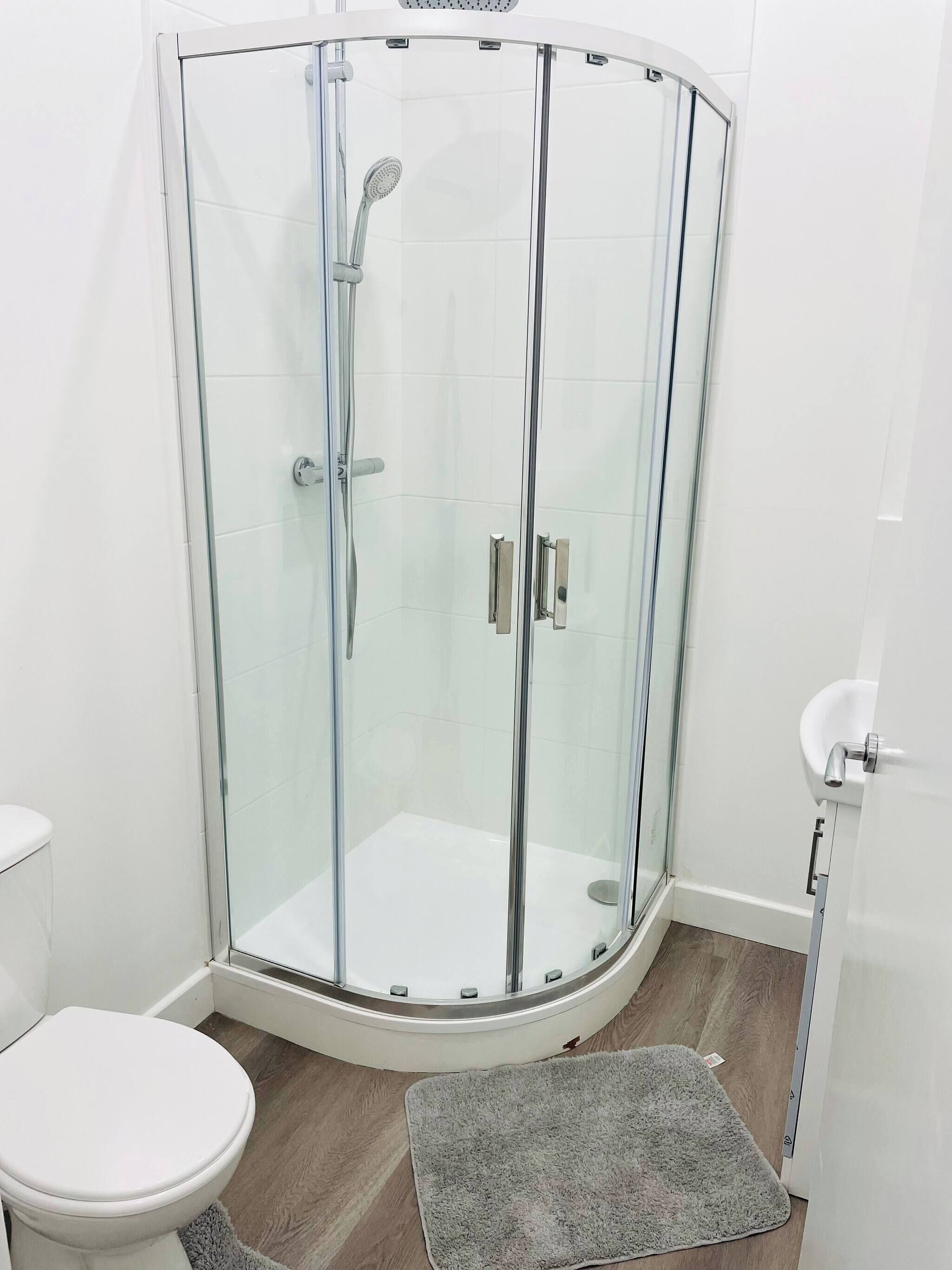 A glass-enclosed shower with a white toilet and a small rug on the floor.