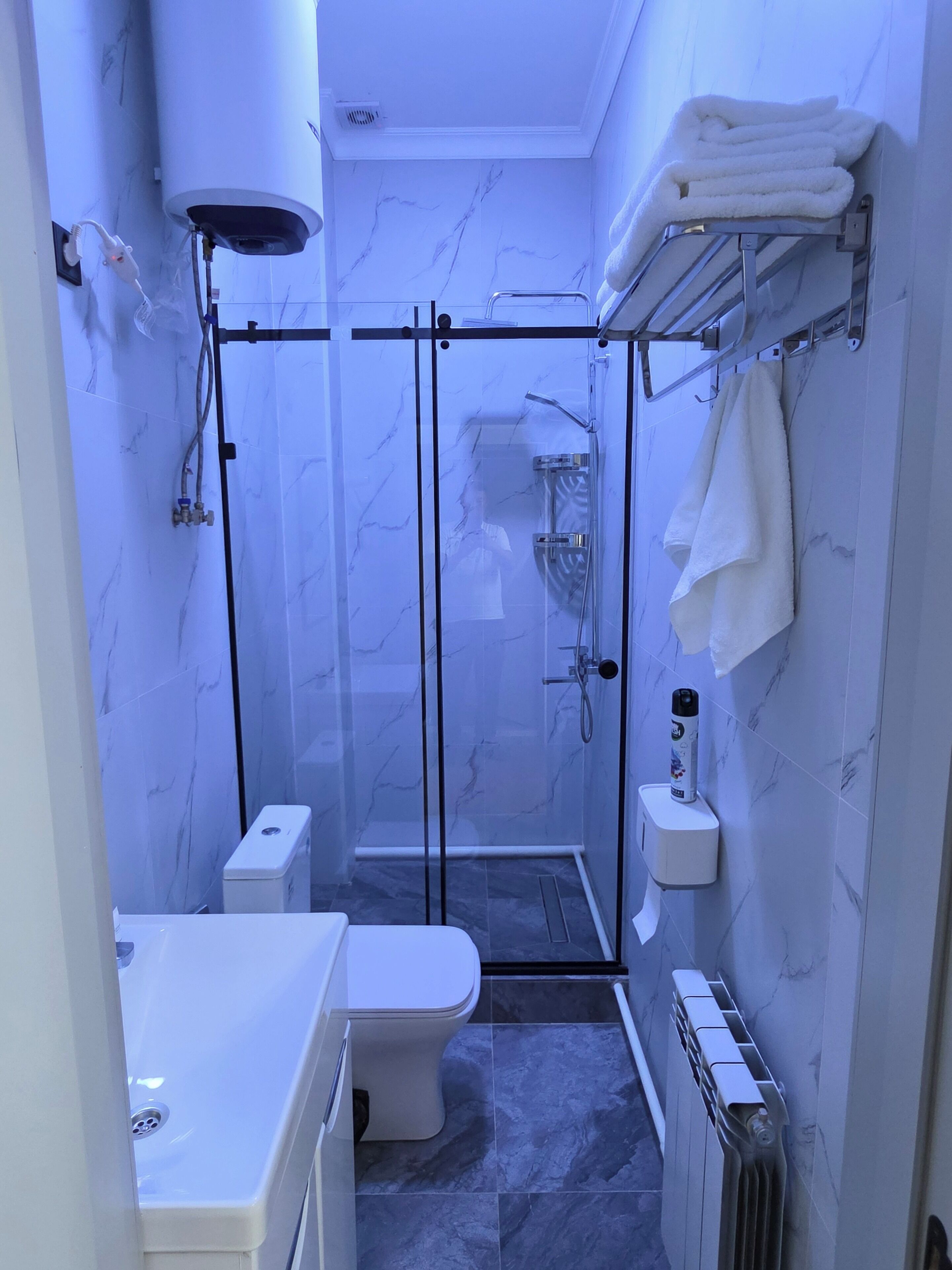 Uma casa de banho moderna com chuveiro separado por vidro, sanita e lavatório.