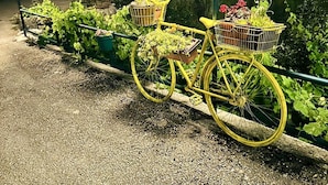 En gul cykel med korgar, parkerad på en grusgång bredvid ett staket med grönska.