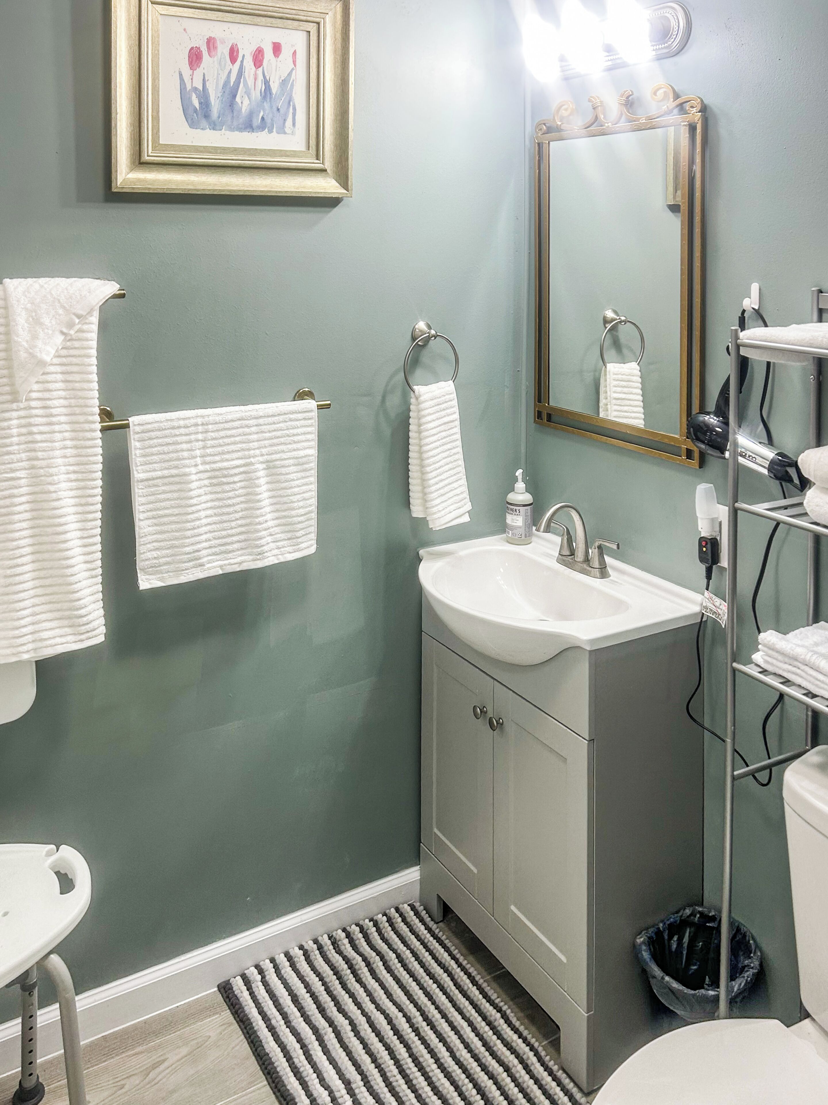 Casa, patio, vista al jardín | Baño