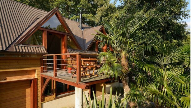 Una cabaña de madera con balcón, rodeada de plantas tropicales.