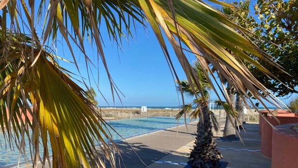 Zona de piscina con palmeras, vista despejada del océano y suelo con diseño de cuadros.