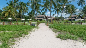 En sti der fører til et resort med flere bygninger, omgivet af palmer og frodig vegetation.