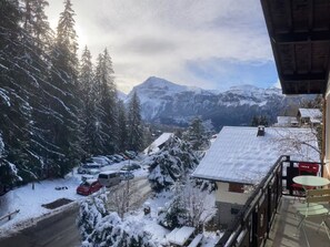 Outdoor dining - Cozy chalet - 10 guests (Arâches-la-Frasse)