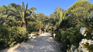 A paved pathway flanked by lush greenery and palm trees, leading towards a distant building. - Quiet apartment, sea view - 4 guests (Saint-Aygulf)