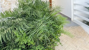 Een modern gevelontwerp met een gebeeldhouwde stenen muur, een grote groene plant op de voorgrond en een witte deur met een rode omlijsting.