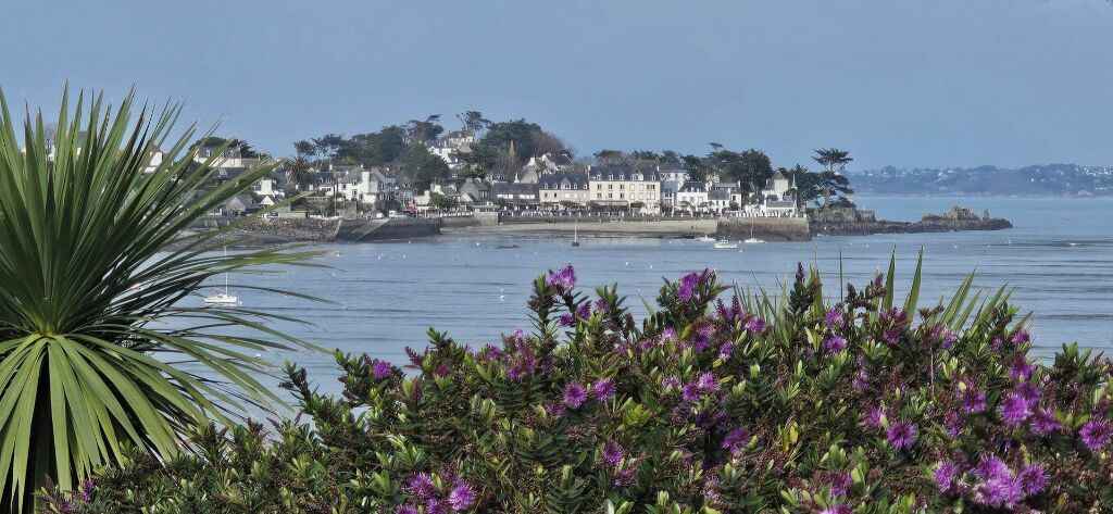 A coastal town with buildings, a body of water, and a prominent palm tree.