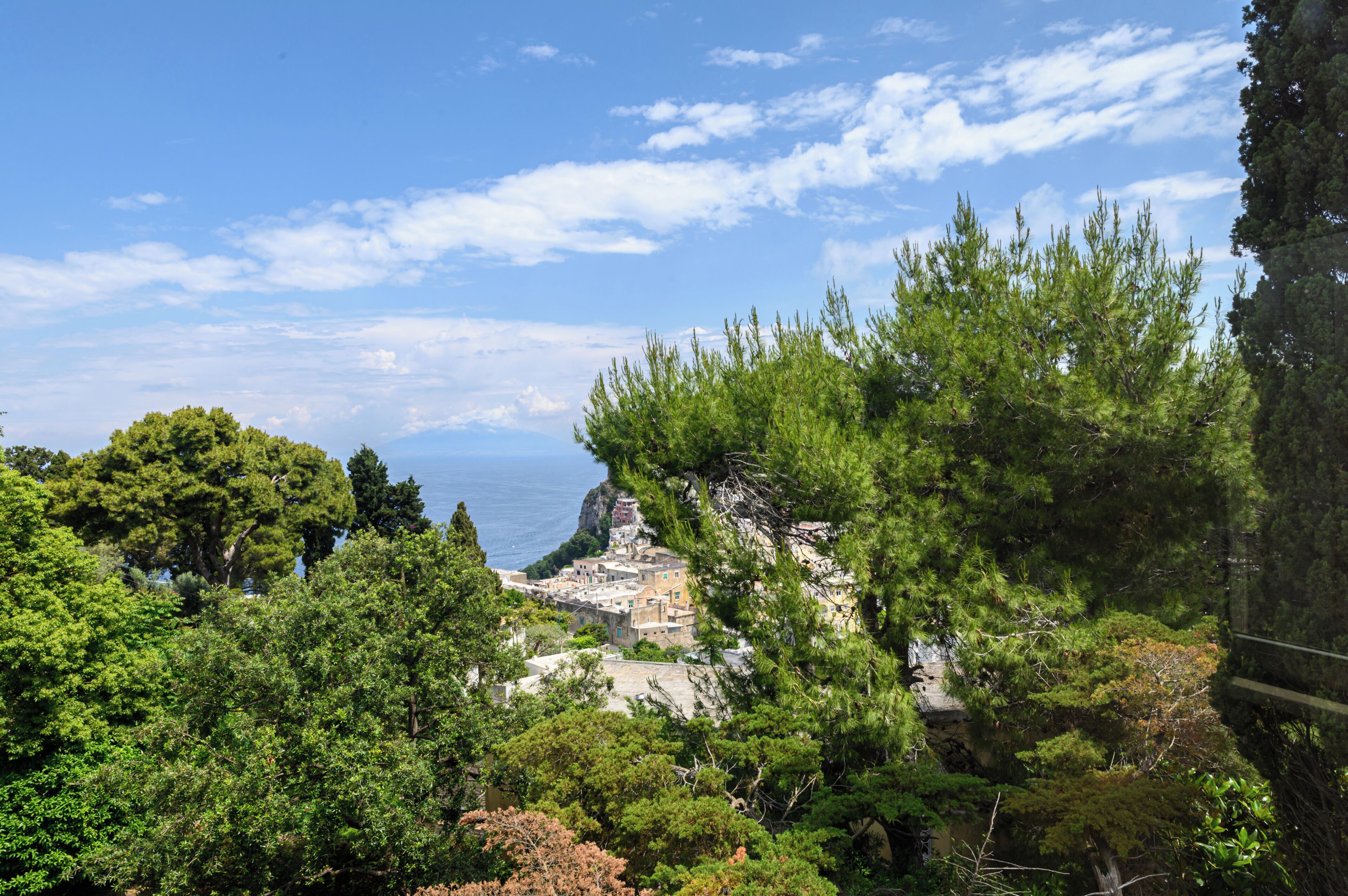 A coastal town with buildings surrounded by dense greenery and a clear sky.