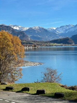 A lake with mountains in the background, a road with a curve, and autumn-colored trees. - Hotel Wildbach Brienz (Brienz)