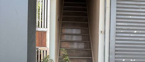 Una escalera que lleva a una entrada, una planta en maceta y una puerta de garaje cerrada.