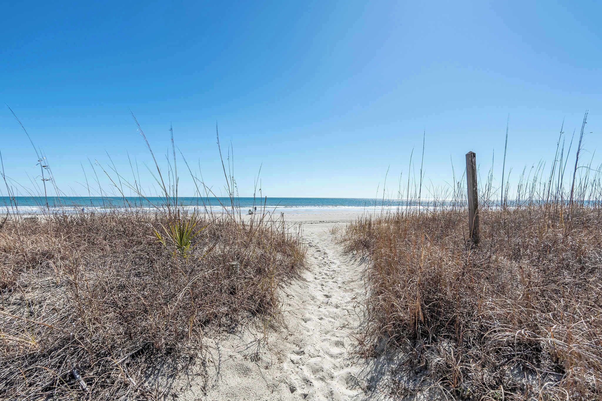 A sandy beach path leading to the ocean, surrounded by dry grass.