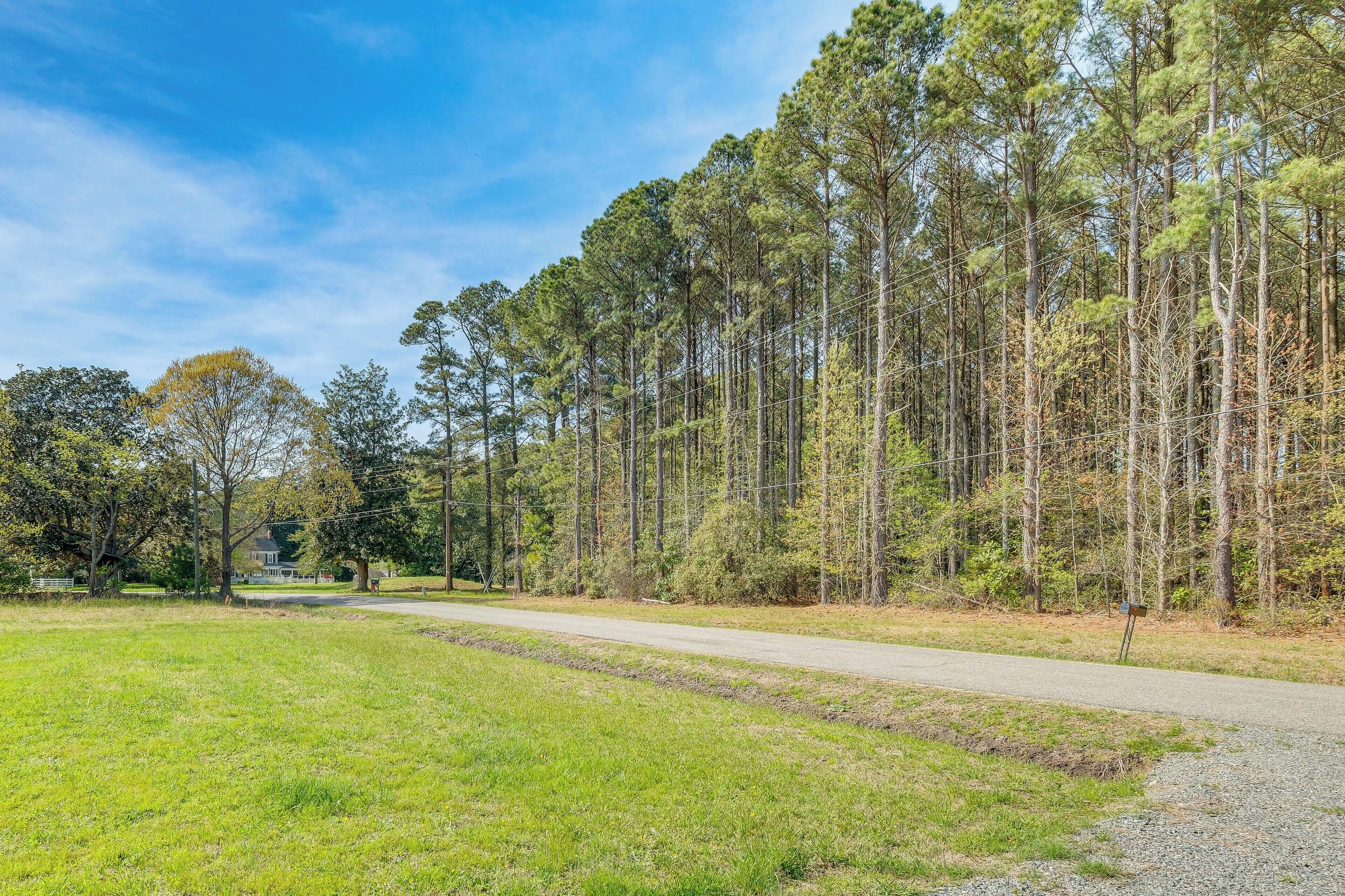 A rural road with a grassy area and tall trees.