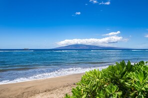 Beach - SUMMER SALE! Mountain View Studio at Beachfront Resort in West Maui -Lahaina Shores 320 (Lahaina)
