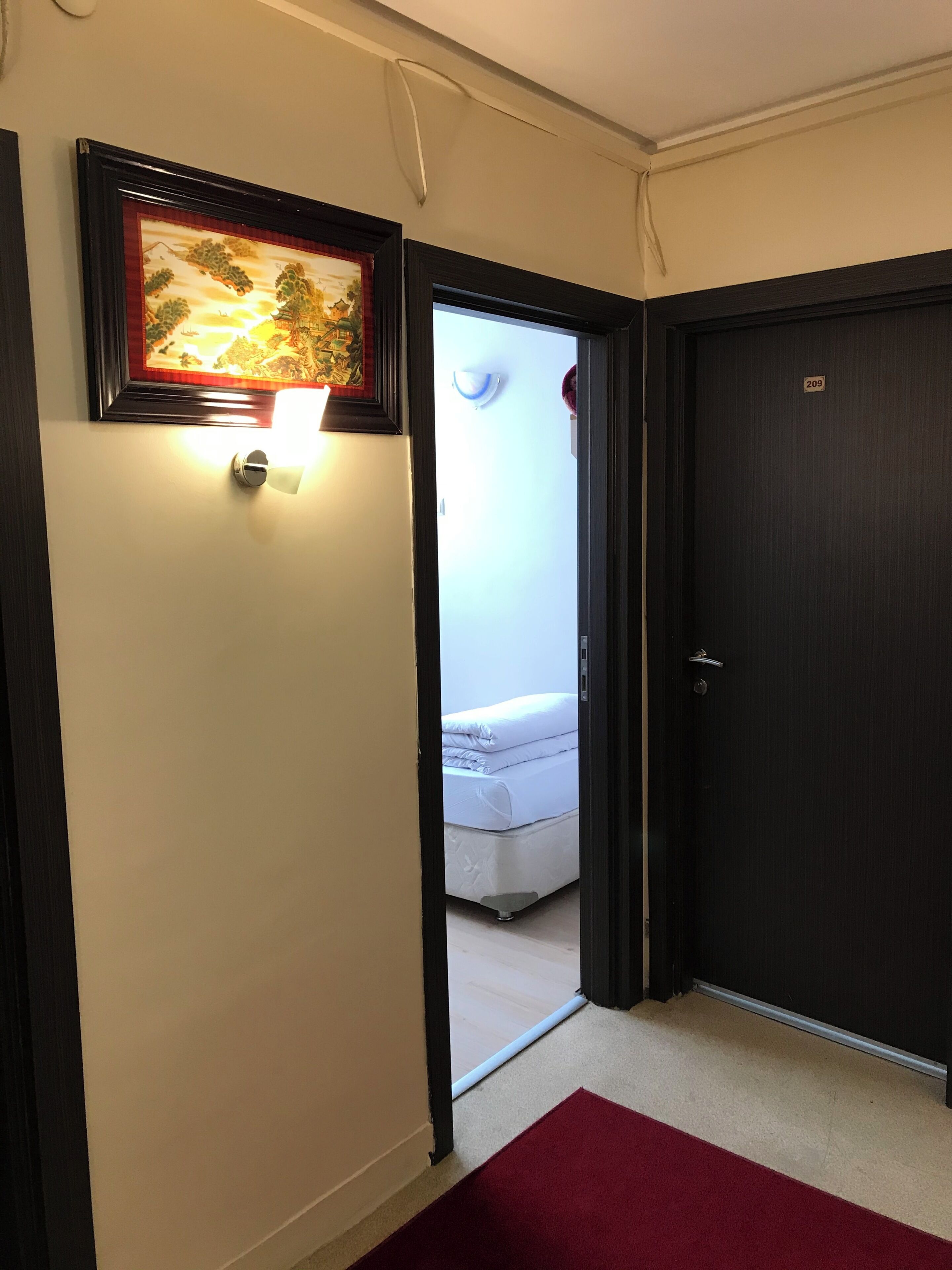 Un pasillo con un cuadro enmarcado, un aplique iluminado, una puerta con placa de número y una vista parcial de una cama en la habitación contigua.