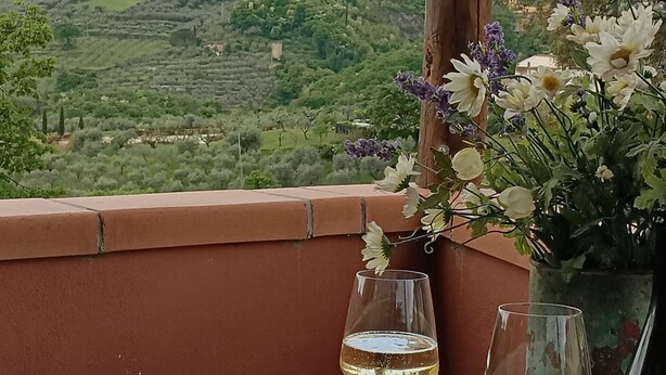 A terrace with a table set for two, a vase of flowers, and a glass of white wine.