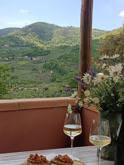 Apartment nestled in the Tuscan countryside suitable for families