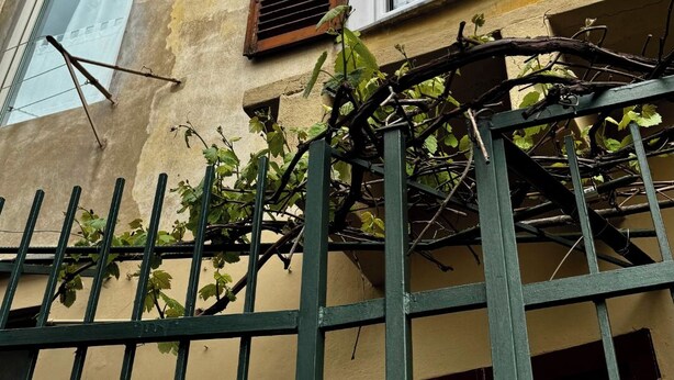 Un edificio con varias ventanas, algunas con contraventanas, y una cerca metálica en primer plano.