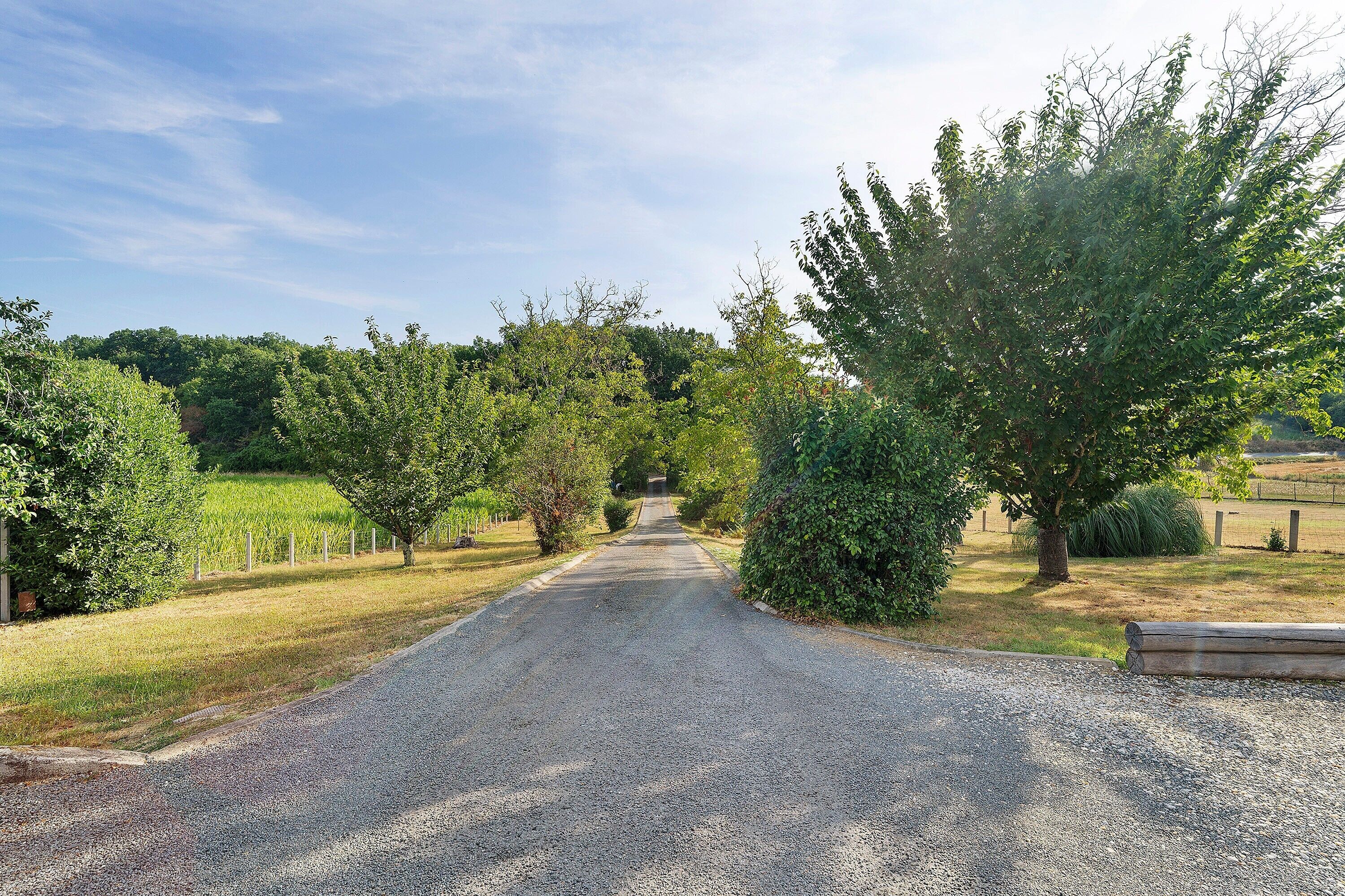 A gravel path leading through a landscaped area with trees and shrubs.