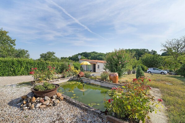 A garden with a pond, a house, and a car.