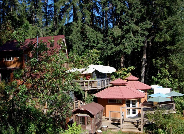 Hillside Deck Cottages - Rustic Pnw Retreat 2 Bedroom Cottage - Harrisburg, OR