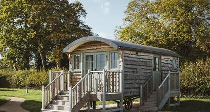 Luxury Shepherd Hut- The Studio