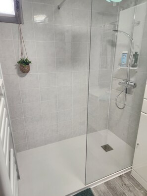 Shower, hair dryer, towels, soap - CHARACTER VILLAGE HOUSE (Cabrières)