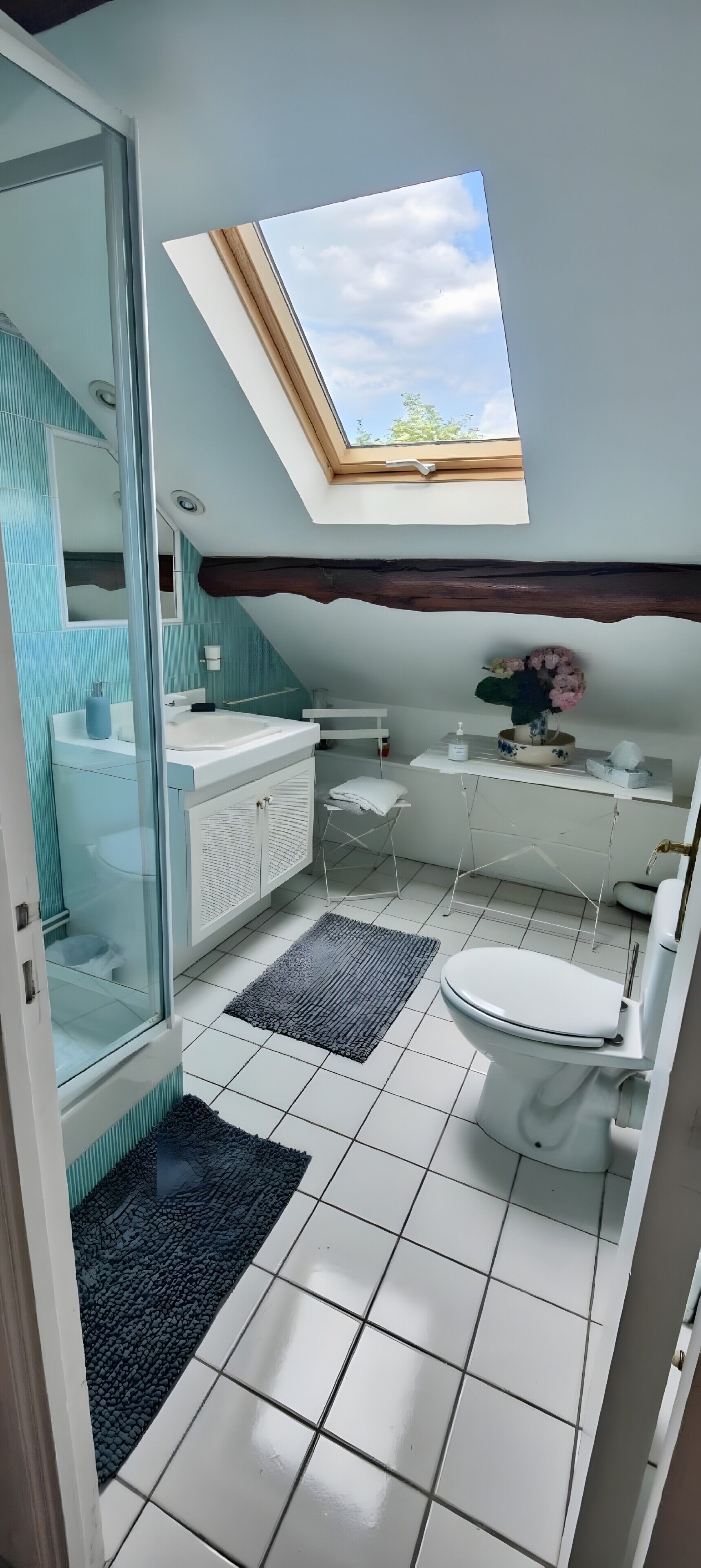 Shower, towels