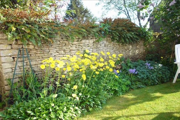 A stone wall with yellow flowers and green foliage.