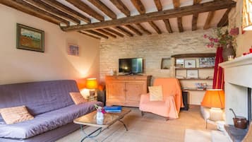 Smart-tv, een open haard, een dvd-speler en boeken