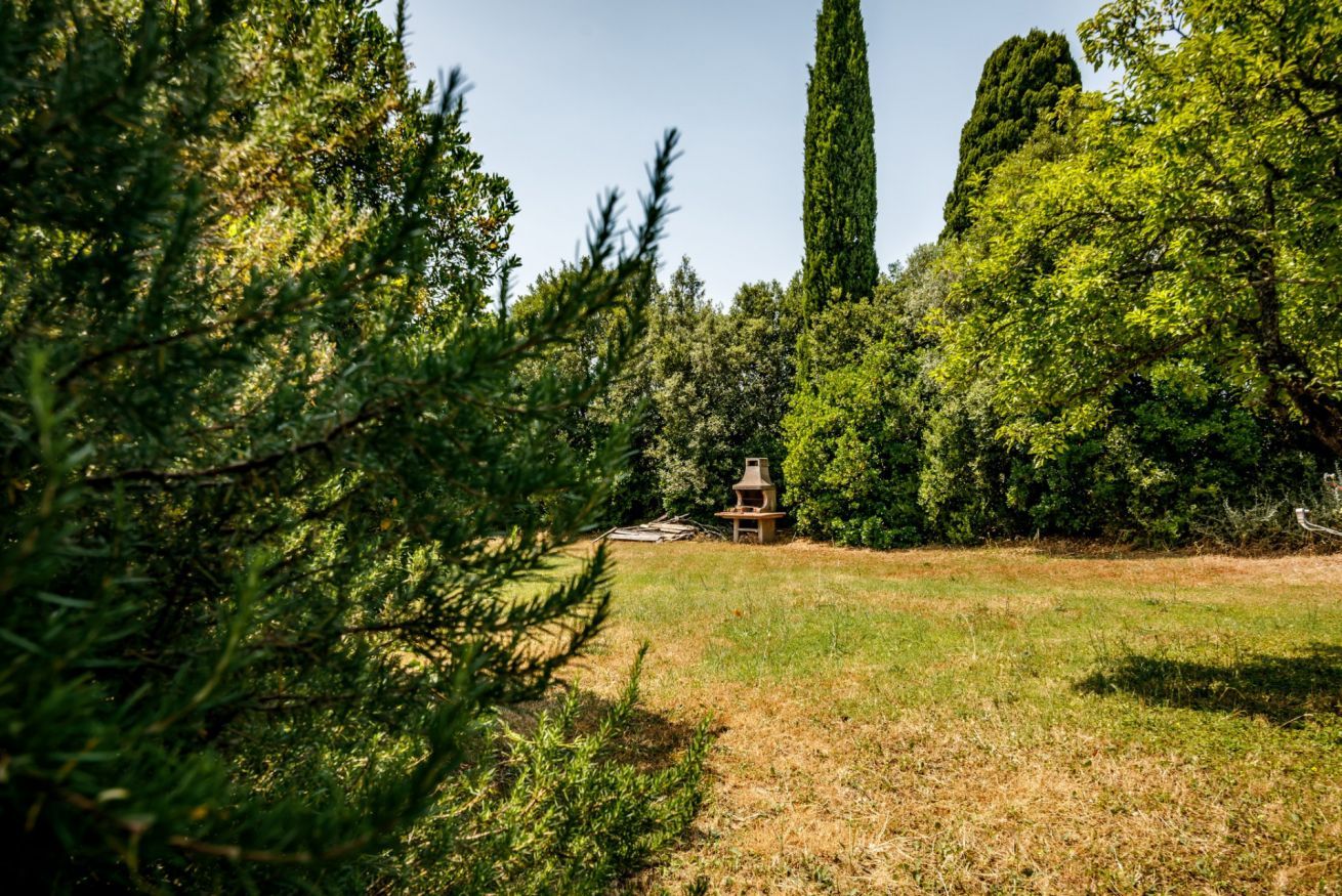 Un paisaje natural con un camino despejado, abundante vegetación y una estructura similar a un pabellón o refugio.