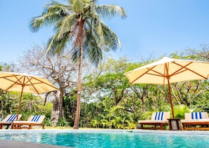 Pool - Luxury Villa With Private Pool and Chefs Kitchen (Diani Beach)