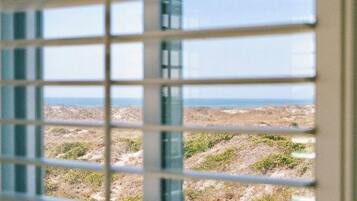 A view through a window with a grid pattern, featuring a landscape with sparse vegetation and a distant horizon.