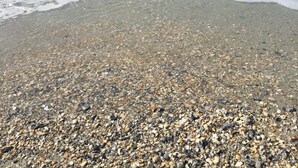 A beach with pebbles and waves. - Seaside Retreat - oceanfront, pool sleeps 4, views, previous”Leg-a-Sea” (Atlantic Beach)
